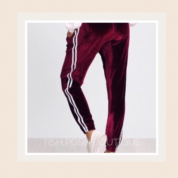 RUBI Velvet Joggers - Picture 3 of 5